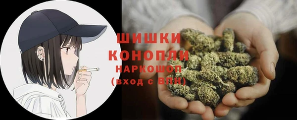 сатива Баксан