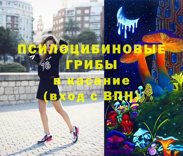 сатива Баксан